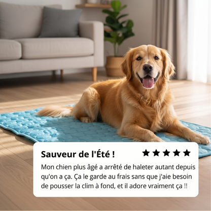 Tapis Rafraîchissant Arctic™ pour Chien