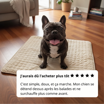 Tapis Rafraîchissant Arctic™ pour Chien