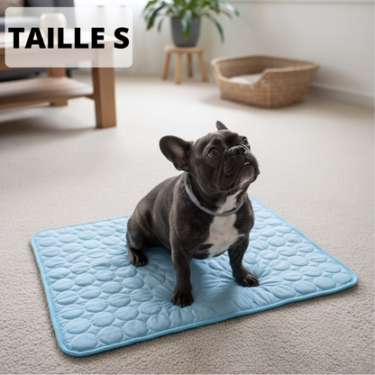 Tapis Rafraîchissant Arctic™ pour Chien