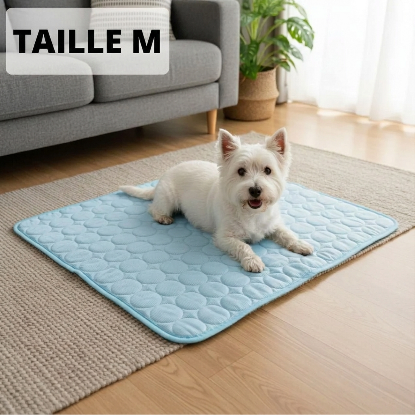 Tapis Rafraîchissant Arctic™ pour Chien