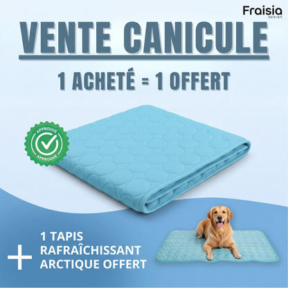 Tapis Rafraîchissant Arctic™ pour Chien