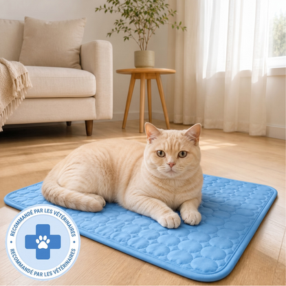 Fraisia Design – Tapis Rafraîchissant pour Chat (1+1 offert)