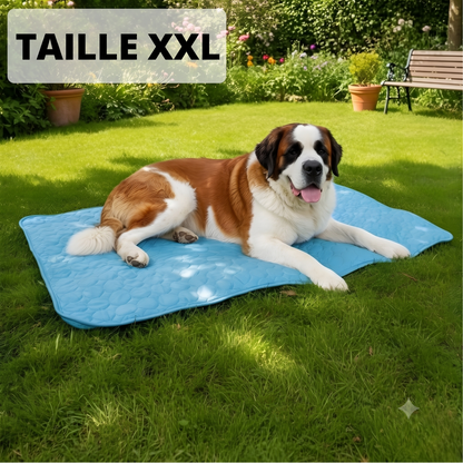 Tapis Rafraîchissant Arctic™ pour Chien
