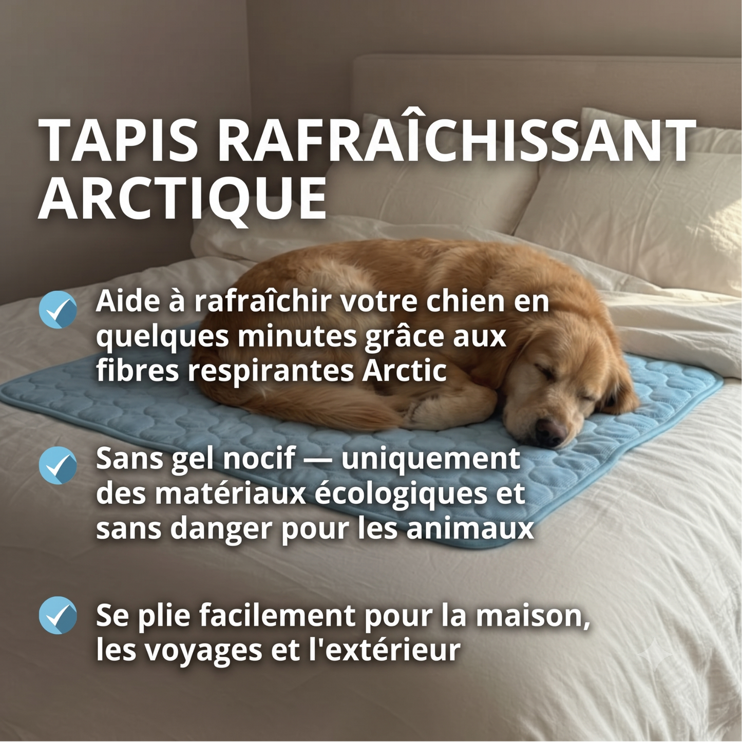 Tapis Rafraîchissant Arctic™ pour Chien