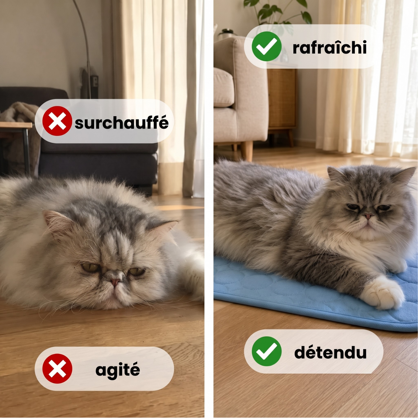 Fraisia Design – Tapis Rafraîchissant pour Chat (1+1 offert)