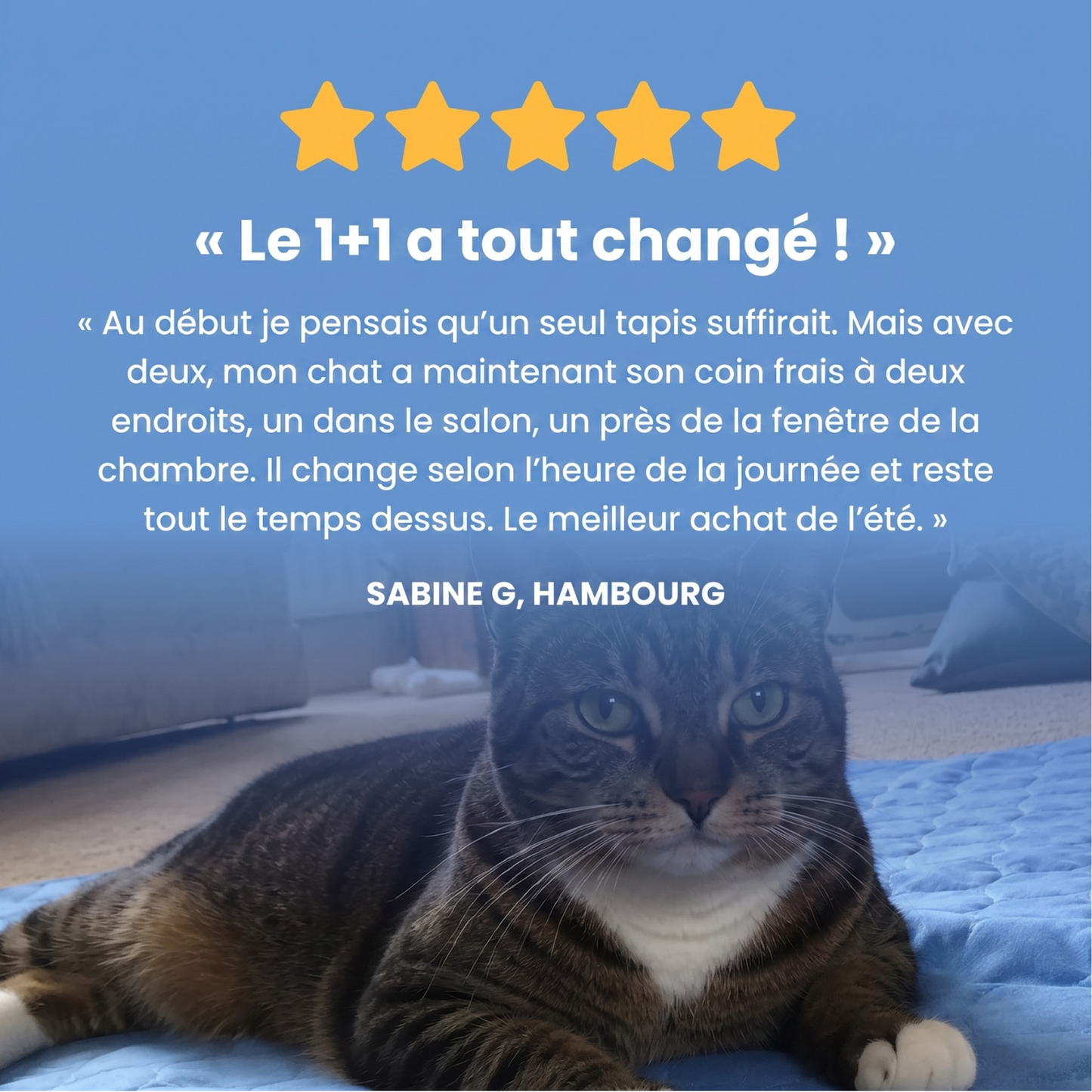Fraisia Design – Tapis Rafraîchissant pour Chat (1+1 offert)