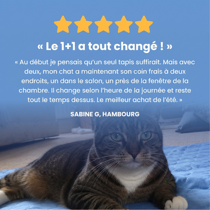 Fraisia Design – Tapis Rafraîchissant pour Chat (1+1 offert)