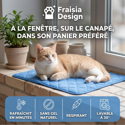 Fraisia Design – Tapis Rafraîchissant pour Chat (1+1 offert)