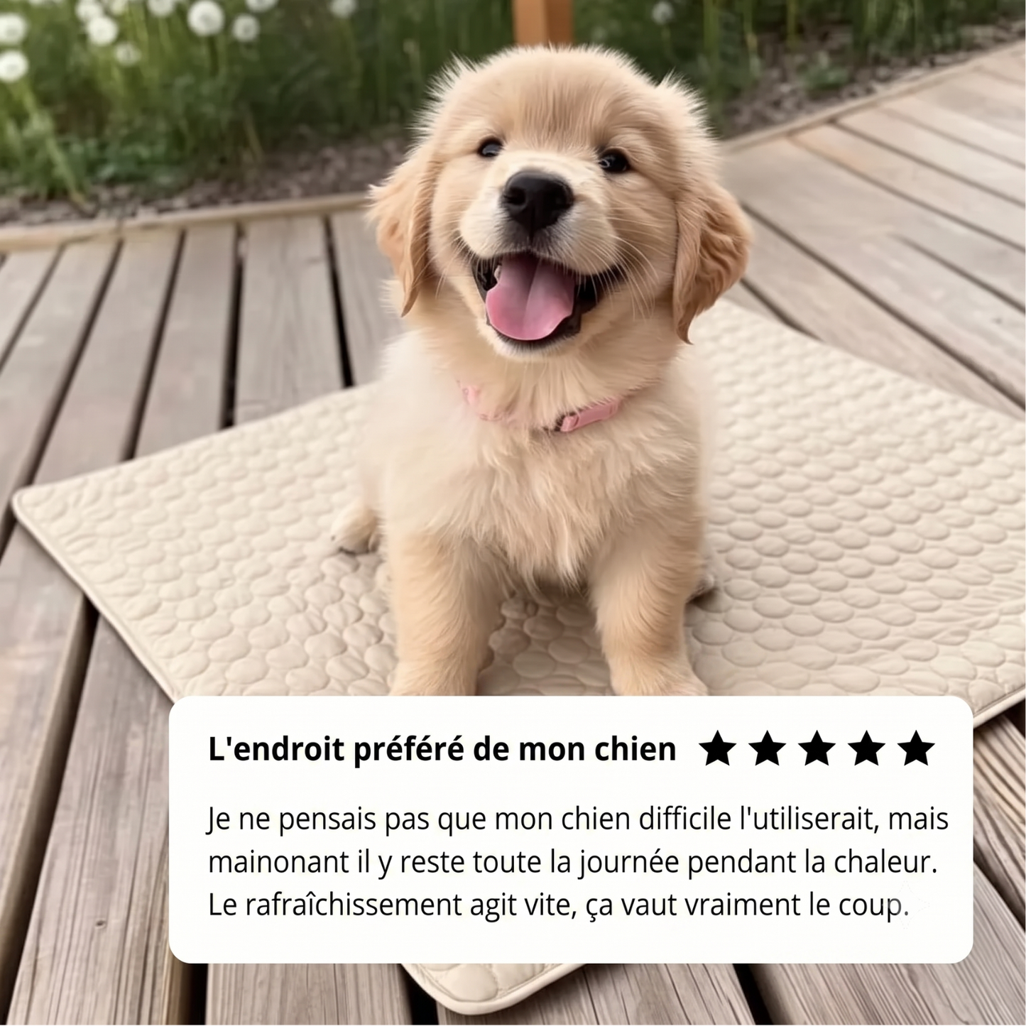 Tapis Rafraîchissant Arctic™ pour Chien