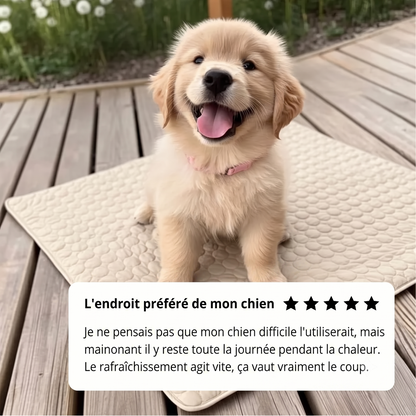 Tapis Rafraîchissant Arctic™ pour Chien