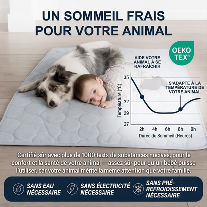 Tapis Rafraîchissant Arctic™ pour Chien