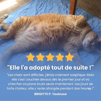 Fraisia Design – Tapis Rafraîchissant pour Chat (1+1 offert)