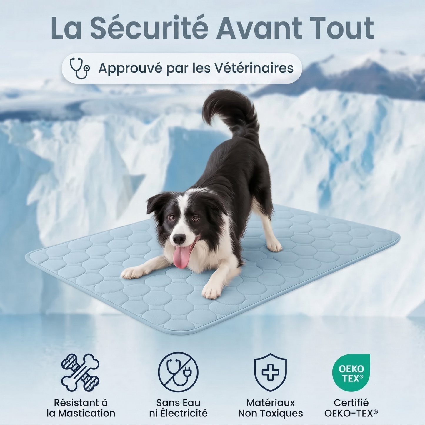 Tapis Rafraîchissant Arctic™ pour Chien