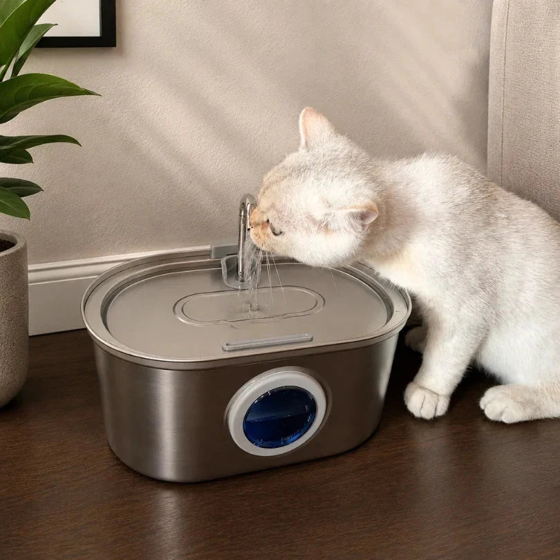 Chat qui boit à la fontaine en inox