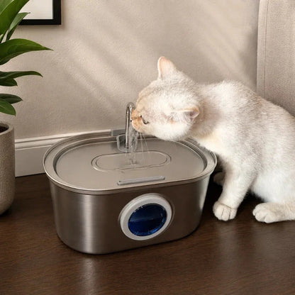 Chat qui boit à la fontaine en inox