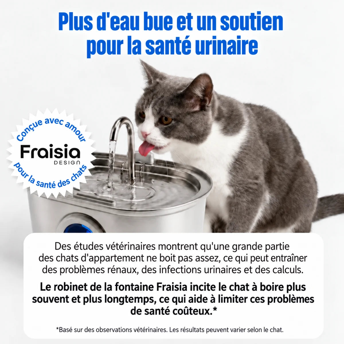 Santé urinaire et hydratation du chat