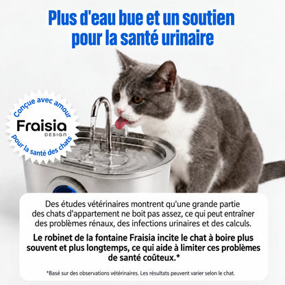 Santé urinaire et hydratation du chat